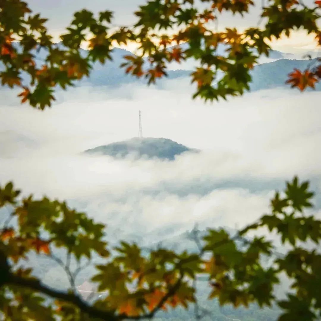 悬念揭晓在即,悬念揭晓视频