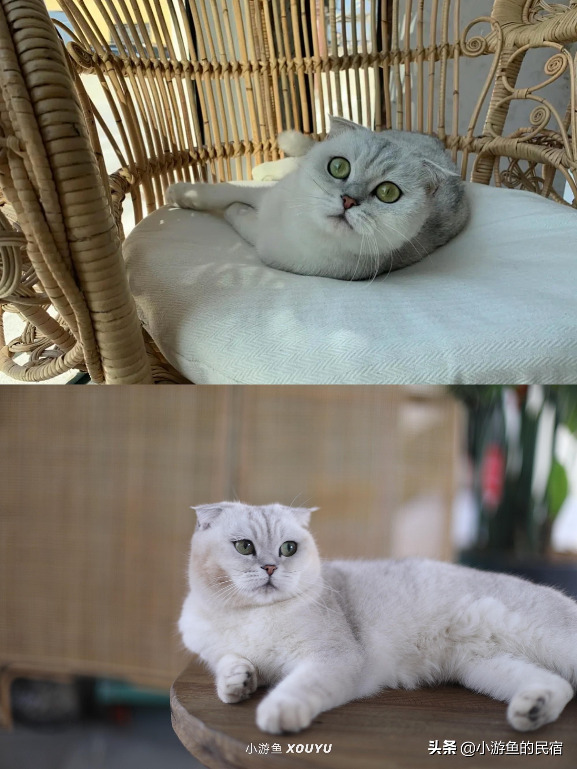 火山岛民宿别墅靠海,火山岛民宿两房