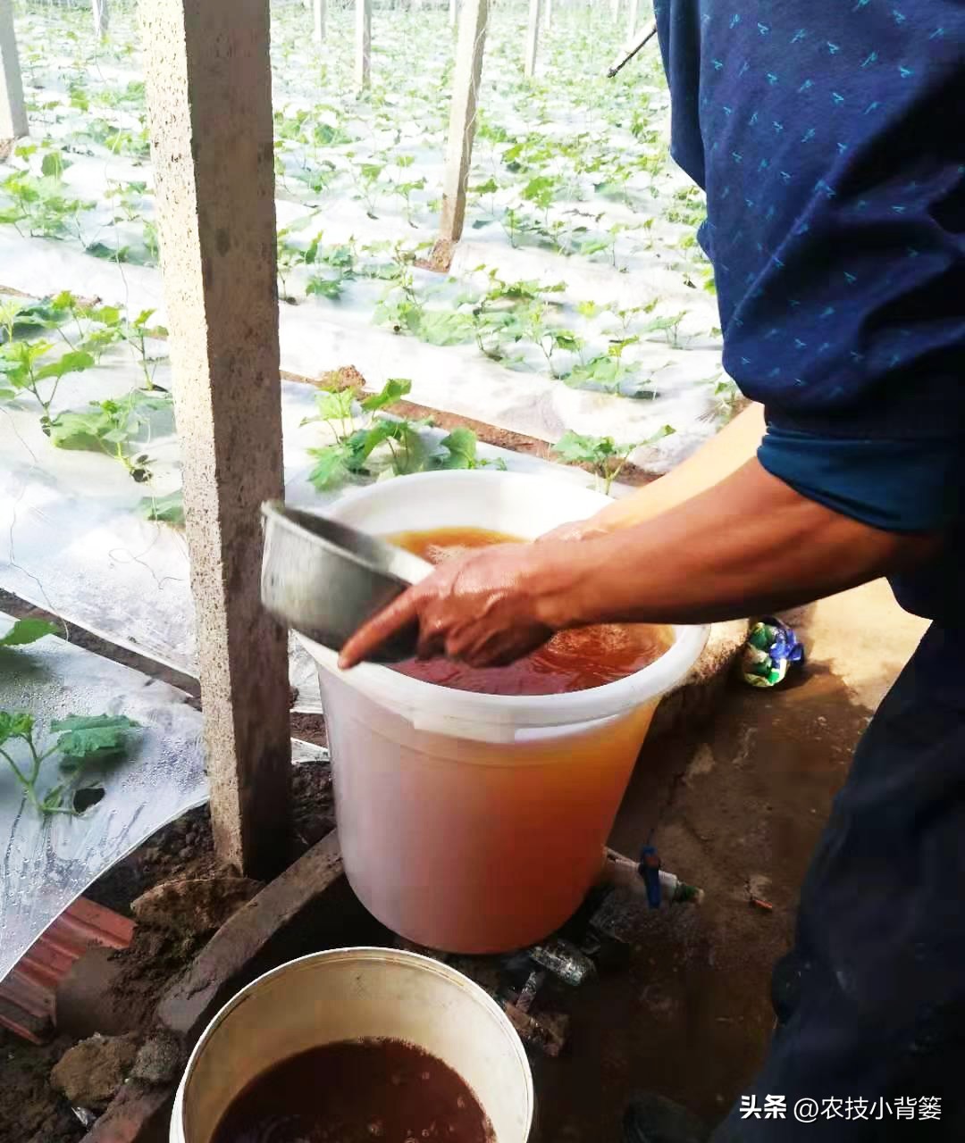 黄腐酸和腐植酸的区别是什么,黄腐酸与腐植酸有什么区别