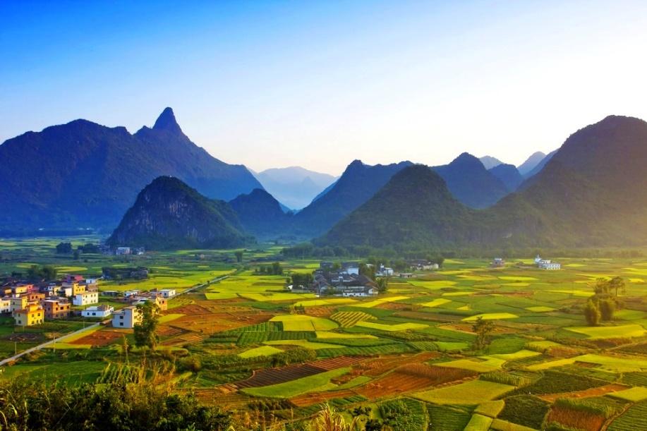 乡村振兴示范村典型案例建设方案,基层党建引领乡村振兴主要案例