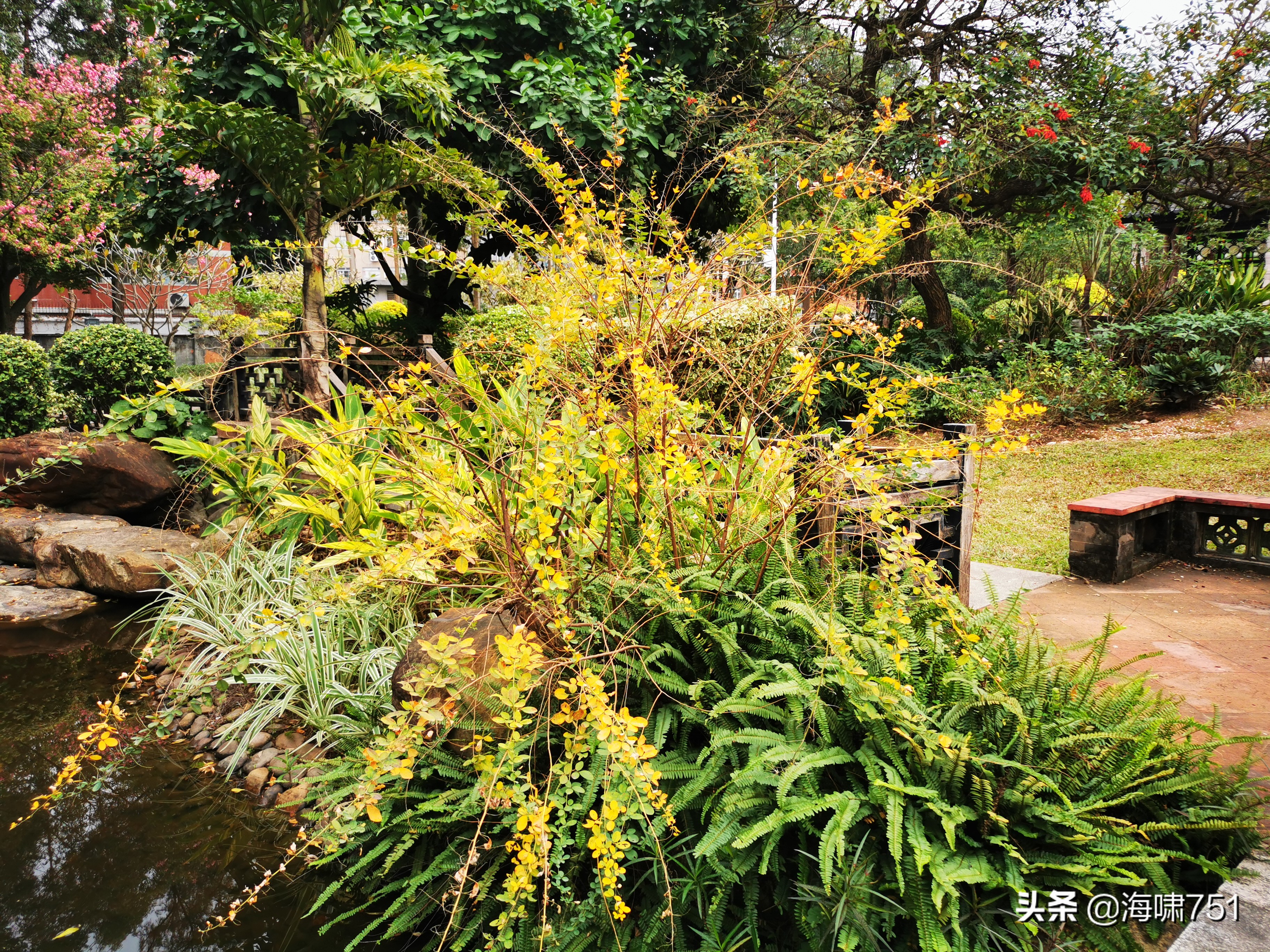 陈田花园全景图,陈田花园照片