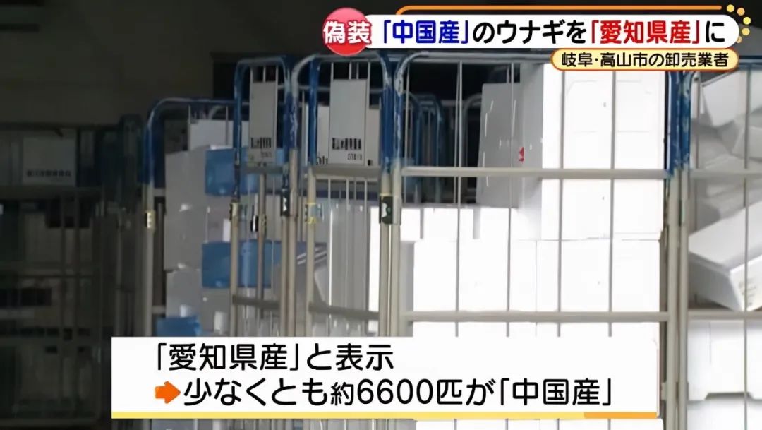 国鳗和日鳗真的有区别吗 (国鳗与日鳗有啥区别)