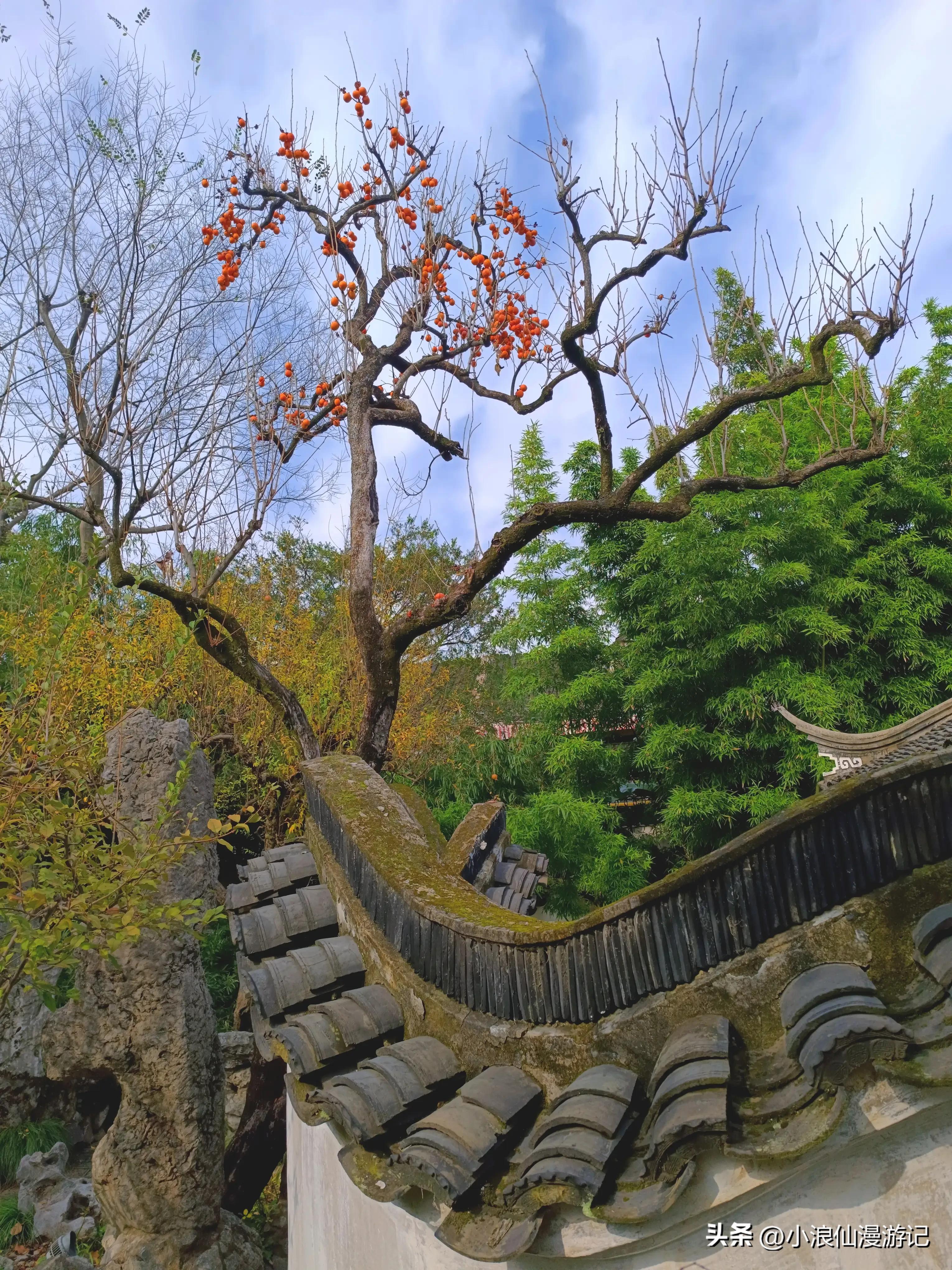 苏州园林怡园拍摄地点,苏州园林里的怡园是什么