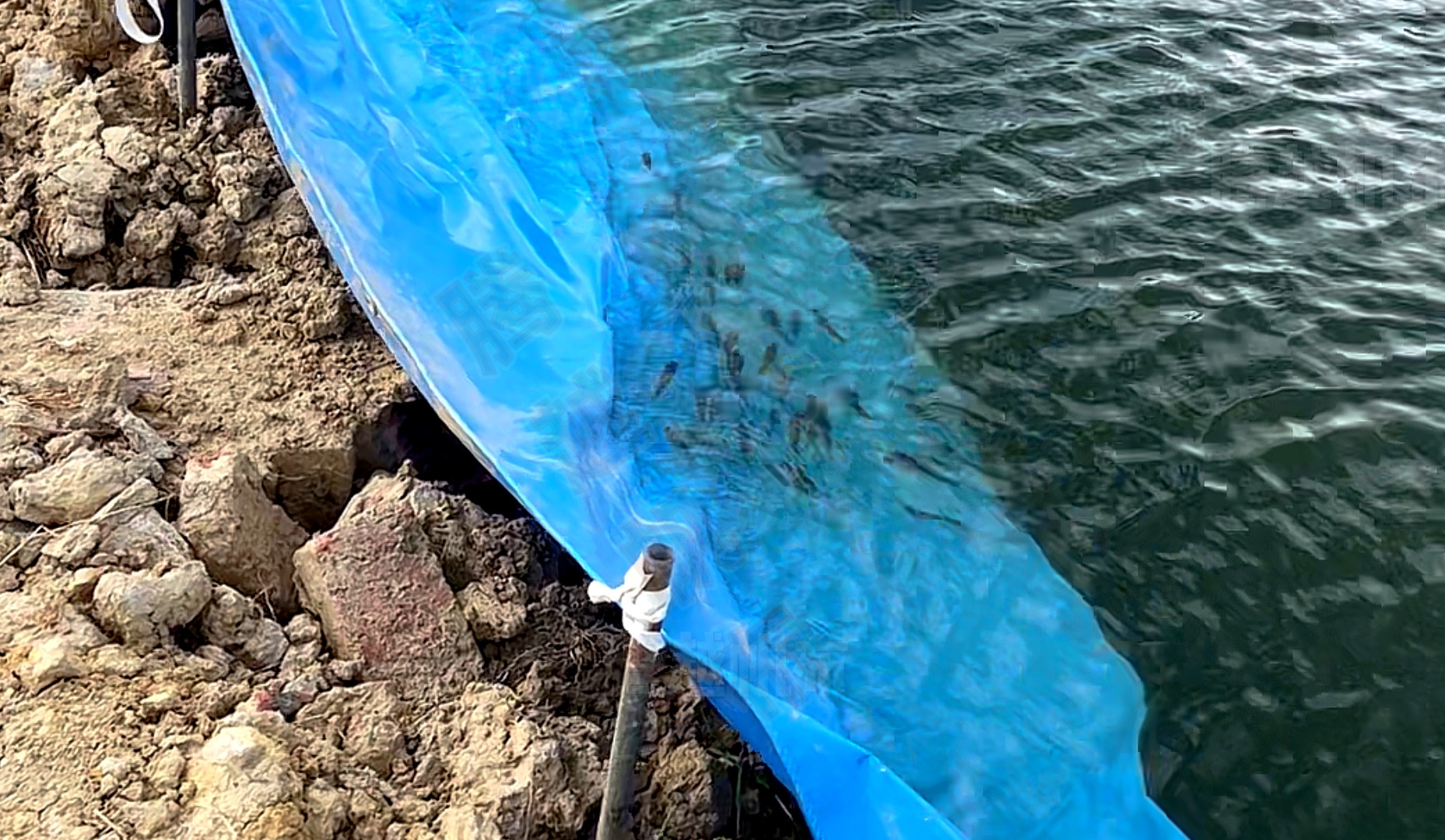 鱼塘漏水怎样堵水补漏,大型鱼塘漏水堵漏新型材料