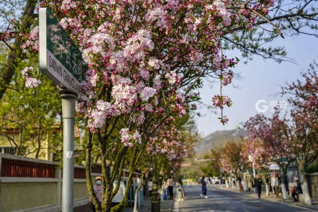青岛踏春哪里最适合旅游,青岛冬季踏青好去处