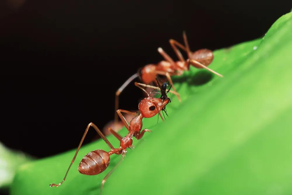 相互宝宣布将关停怎么退钱,相互宝关停合法吗