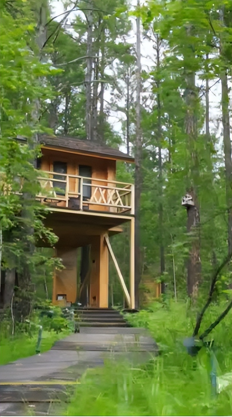 向北向北！|“美”在内蒙古