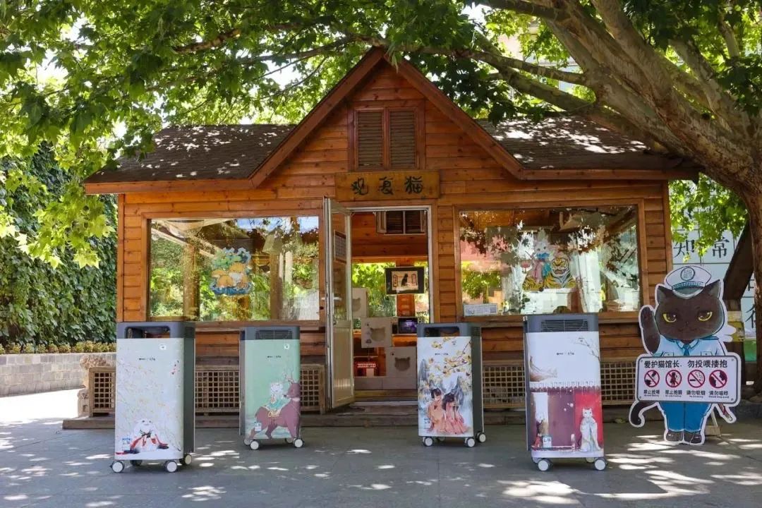 观复猫说过年抽奖,观复猫过年说