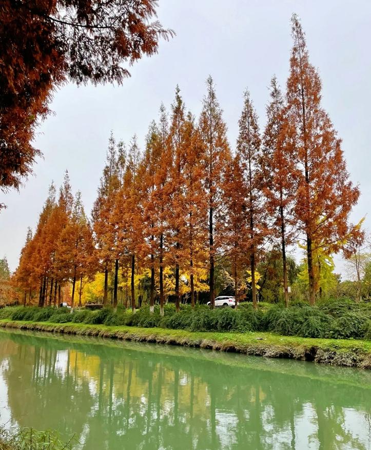 烟雨江湖成都境内宝藏,成都附近小众宝藏旅行攻略