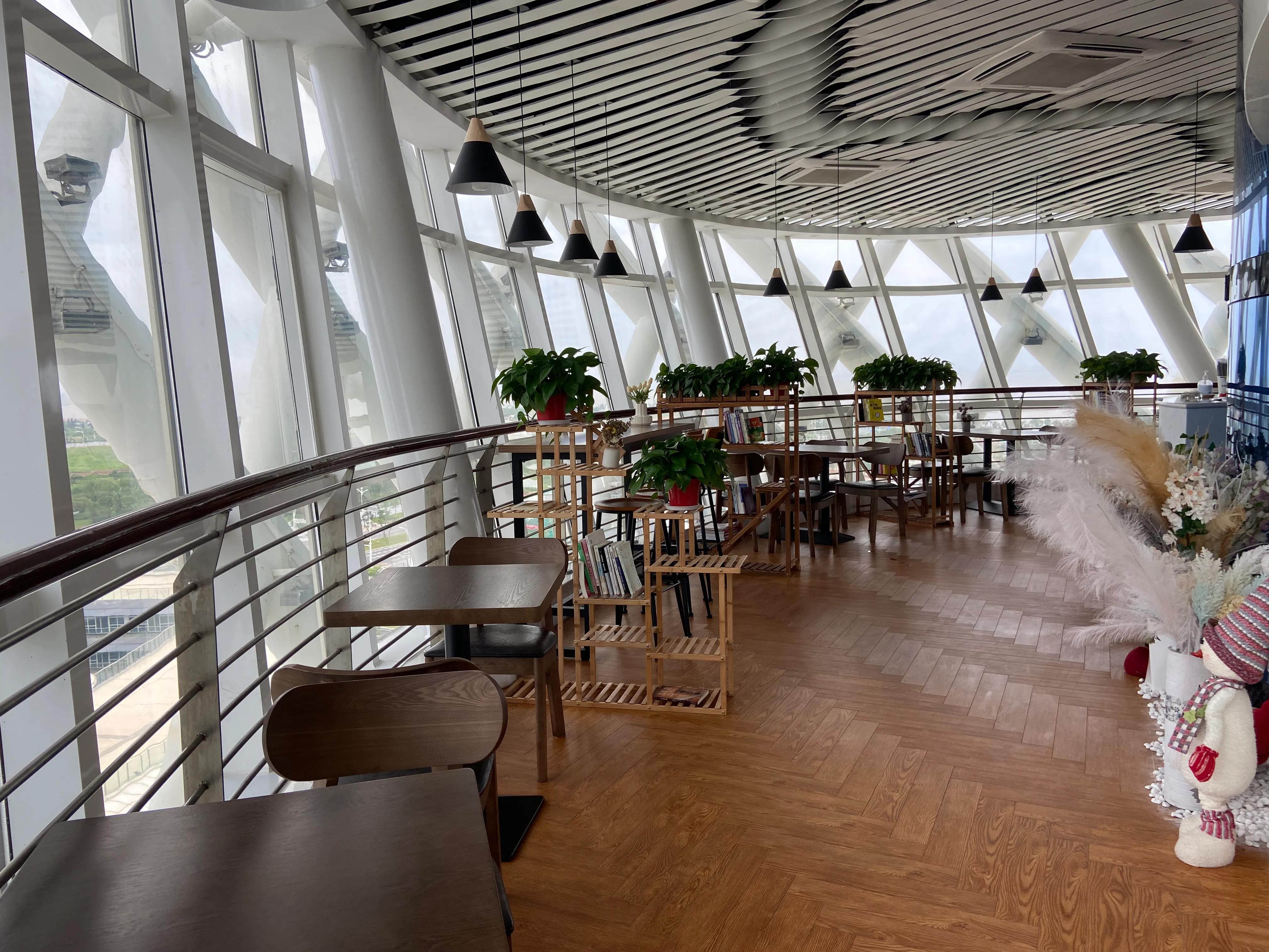 东莞滨海湾旅游景区全景视频,东莞小蛮腰观光塔