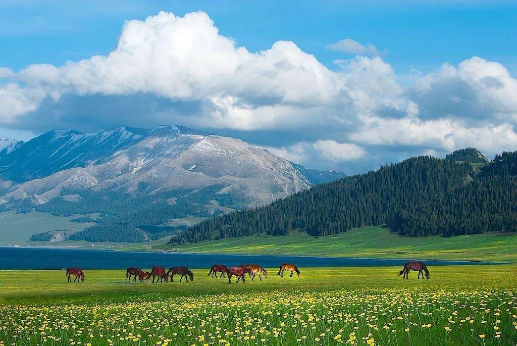 来新疆一定要避开的坑,新疆旅行一定要看的避坑建议