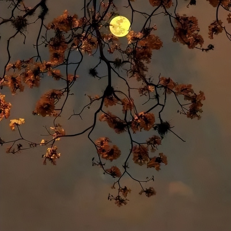 微信背景图风景高级,背景图单调风景