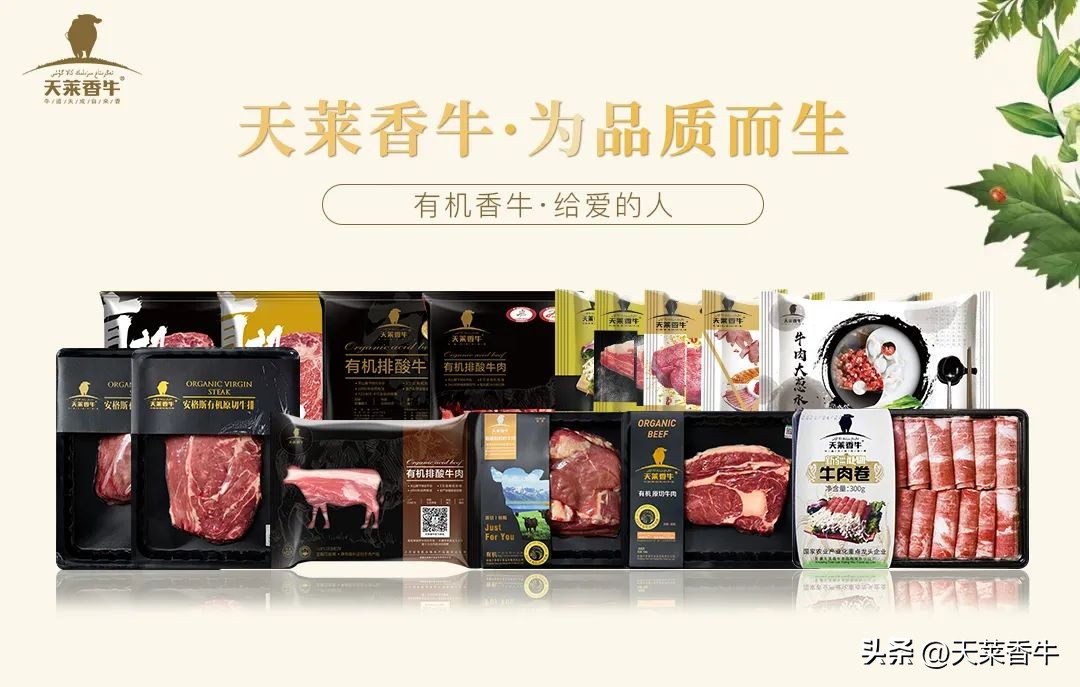 超级美味的牛肉汤饭,鲜牛肉汤饭