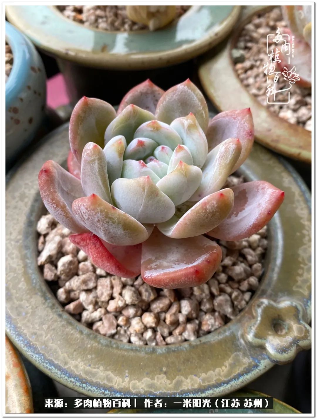 幸福就是珍惜当下所拥有的,珍惜当下所拥有的才是幸福的