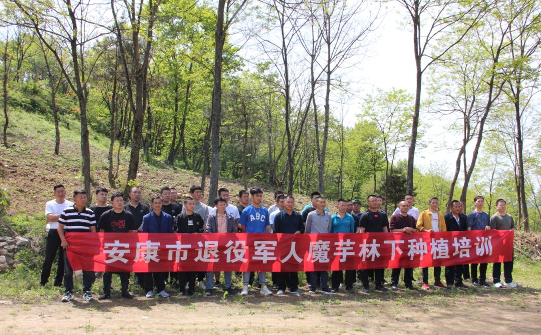 新型职业培训的费用全免,新兴职业培训可以做吗