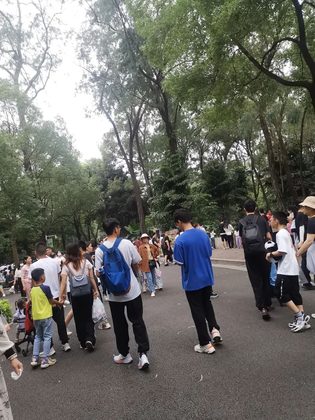 五一广州动物园攻略自由行,五一游广州野生动物园