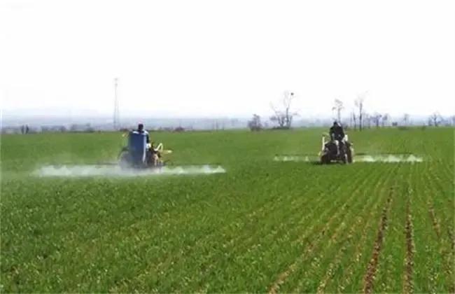 植物生长调节剂赤霉素种类的作用,农业中使用植物生长调节剂作用