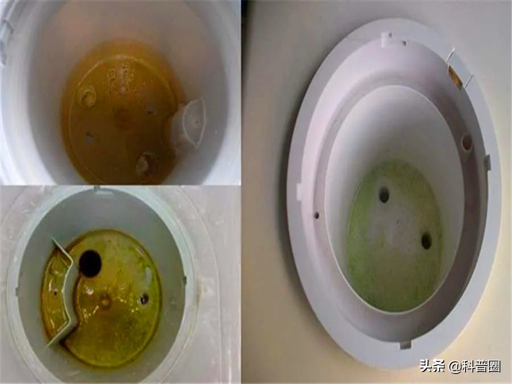 饮水机里的水真的比马桶的水还脏,饮水机的水比厕所的水还脏
