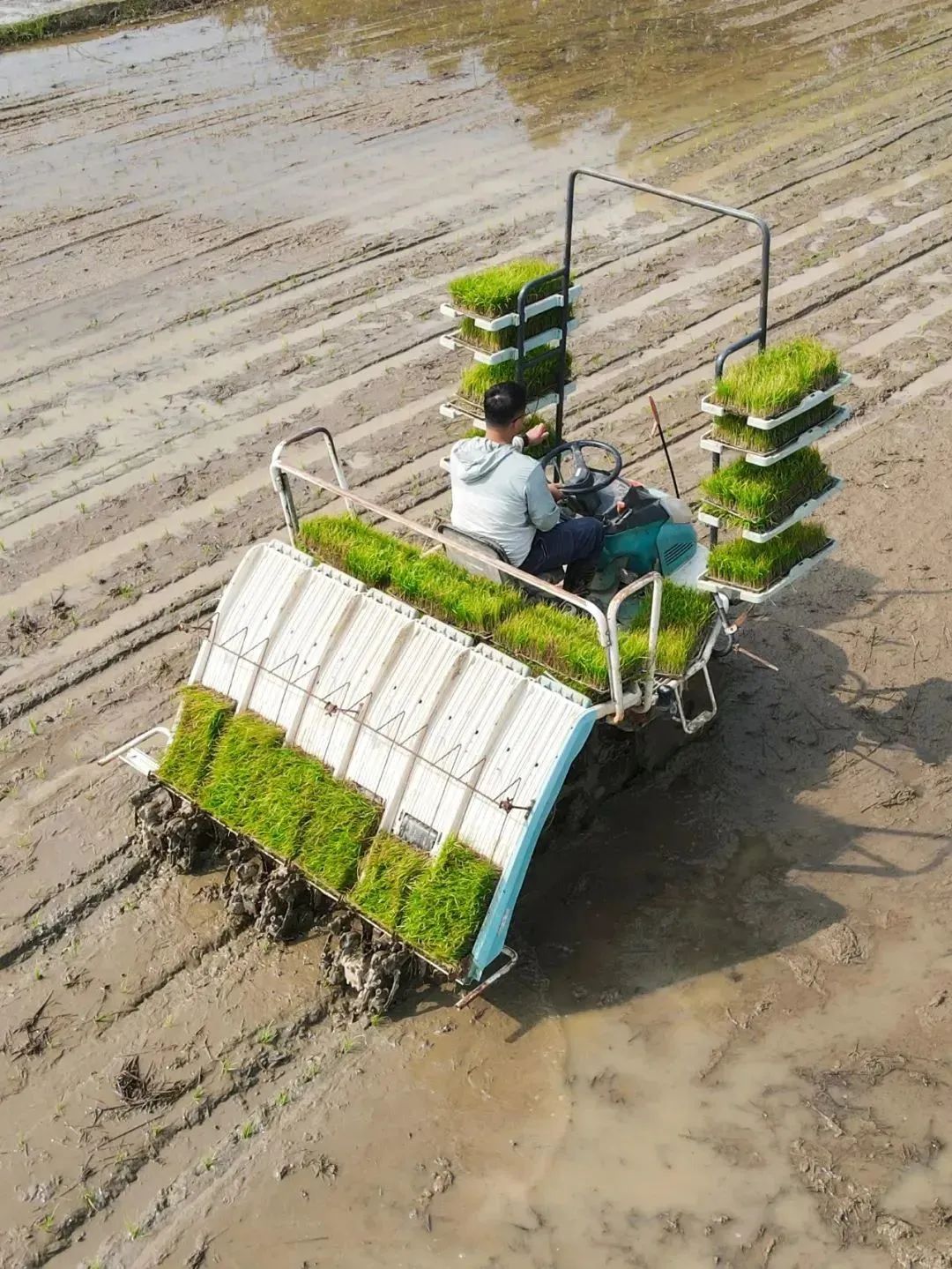 以高质量发展推进肇庆现代化建设,为肇庆高质量发展做出自己努力