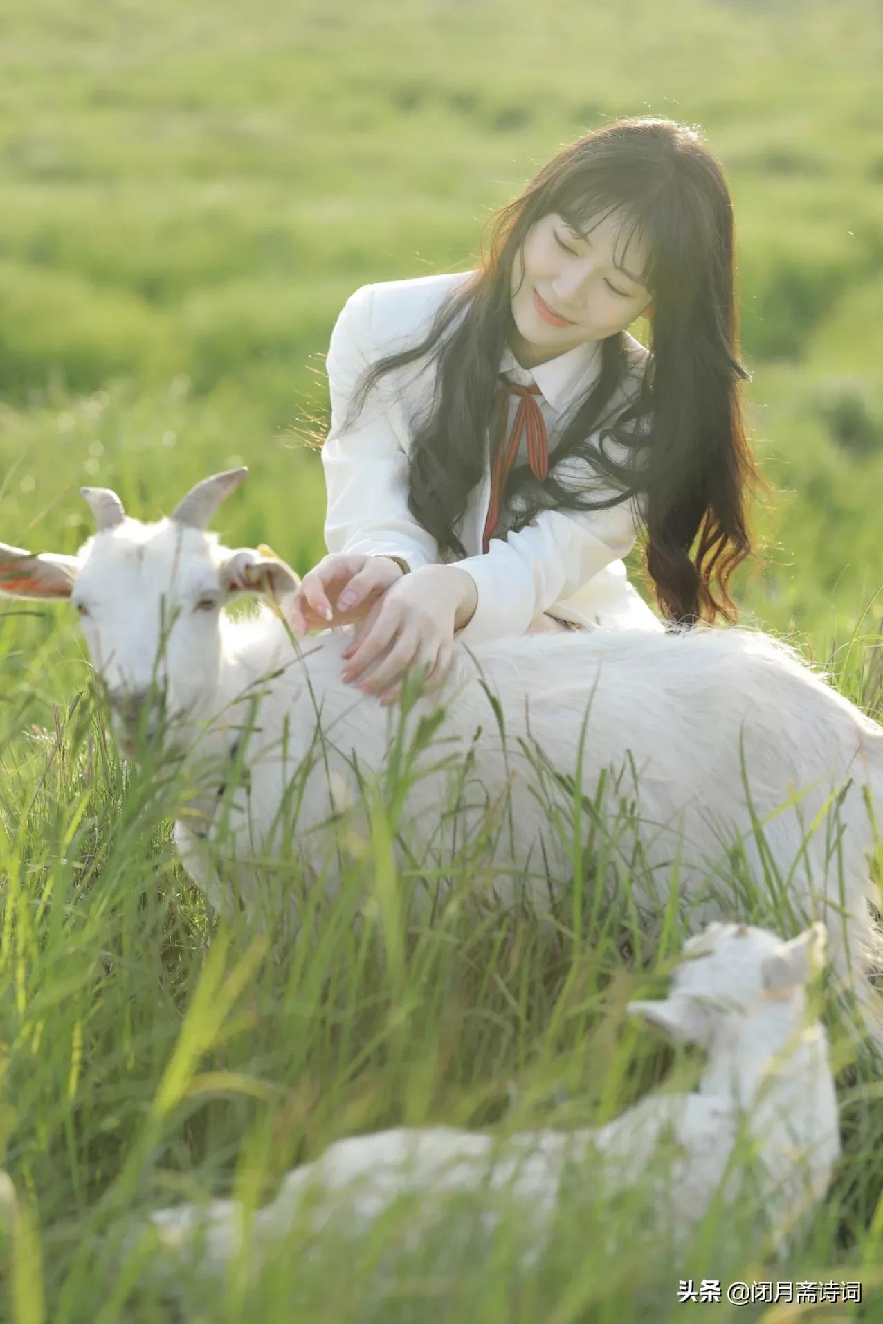 七律遣怀二十首诗,七律雪夜遣怀