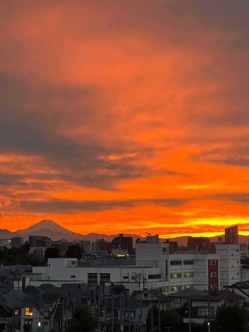 日本留学生必备十大app,日本留学生兼职12小时