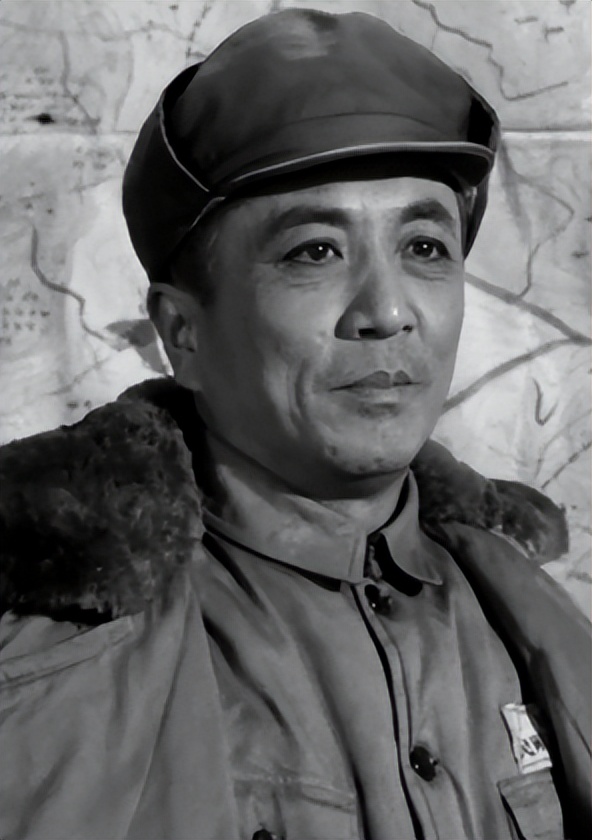 关于革命的小说红日简介,长篇小说红日沈振新的原型是谁