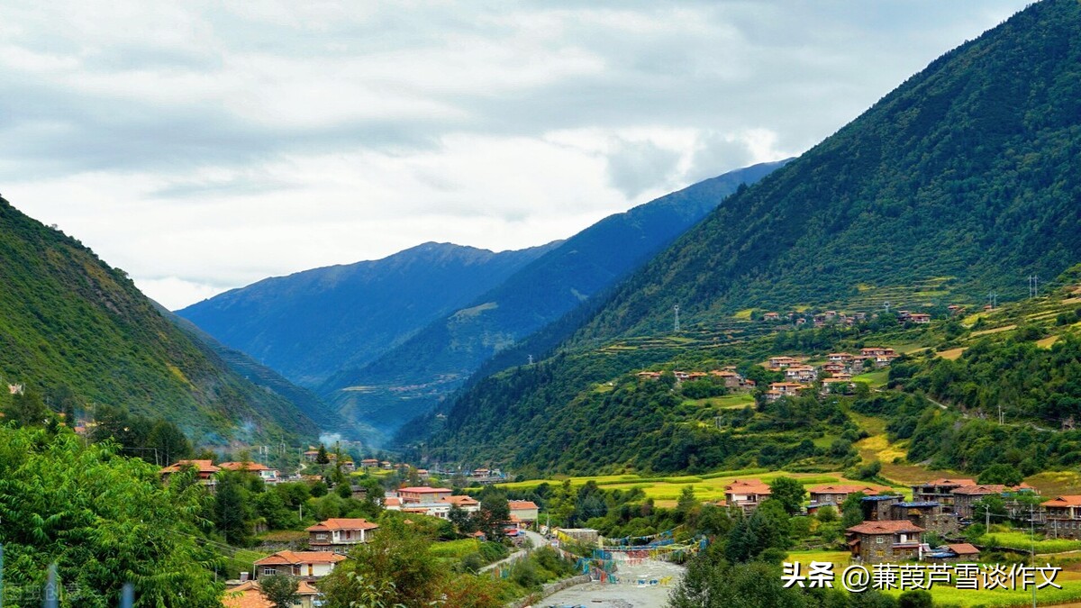 小练笔议论文功夫不负有心人,小练笔的作文