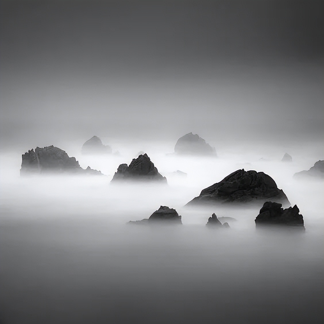 日本枯山水景观,日本枯山水中的树是什么树