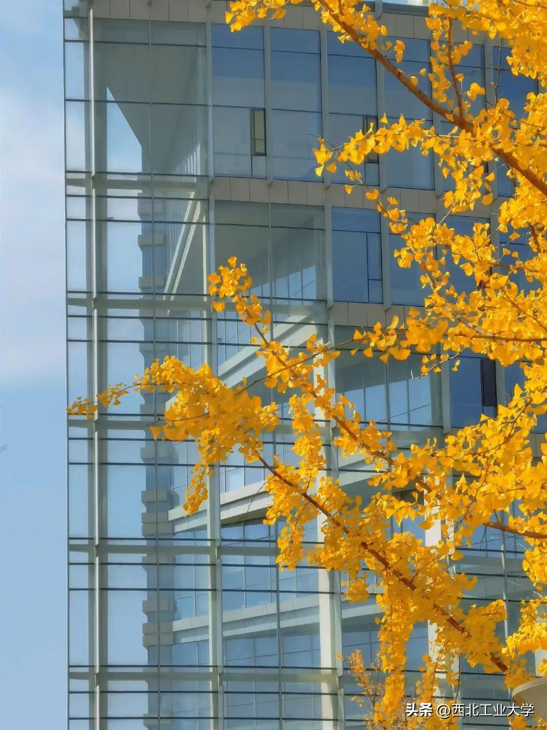 今日雨水!工大四季高清美图，欢迎欣赏使用~