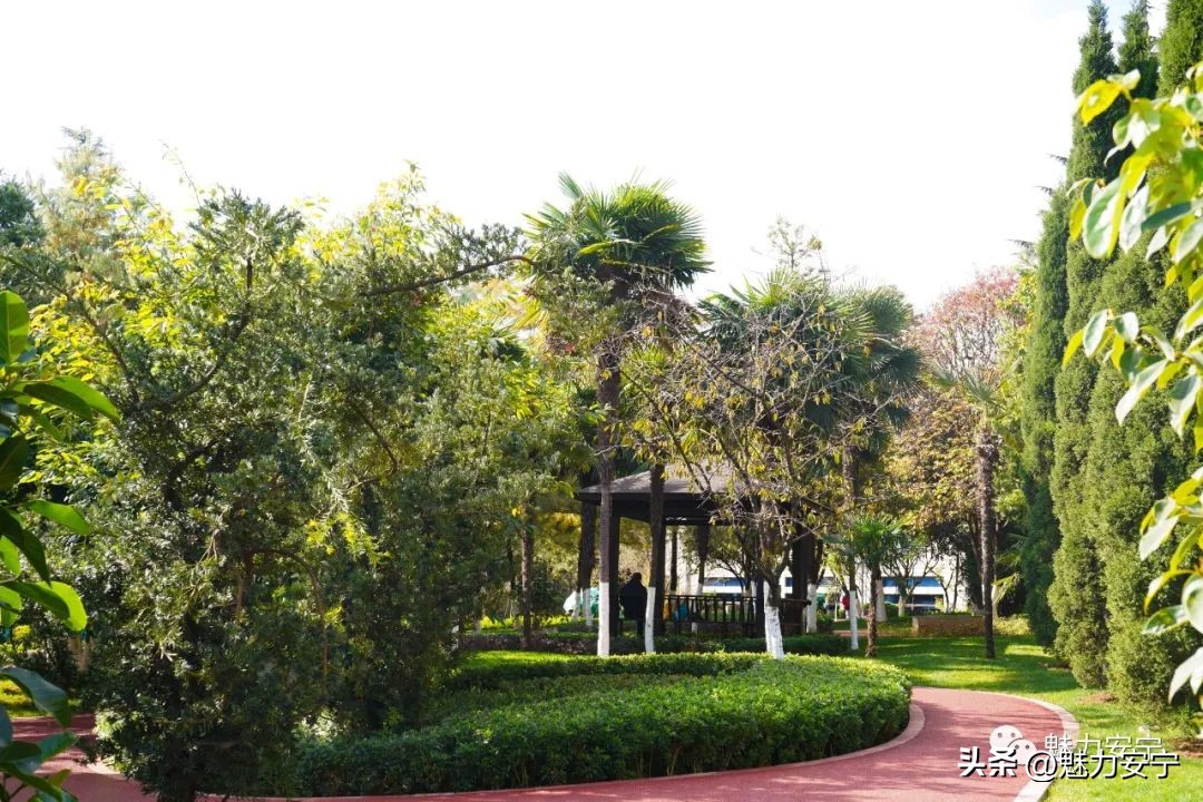 鐖变笂杩欒瘲鎰忕殑鐢熸椿,鐖变笂杩欒瘲鎯呯敾鎰忕殑鐢熸椿