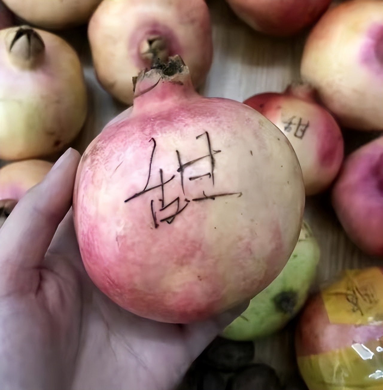 河南女孩发朋友圈借钱，将近300个陌生人给她转账，一晚到账30万