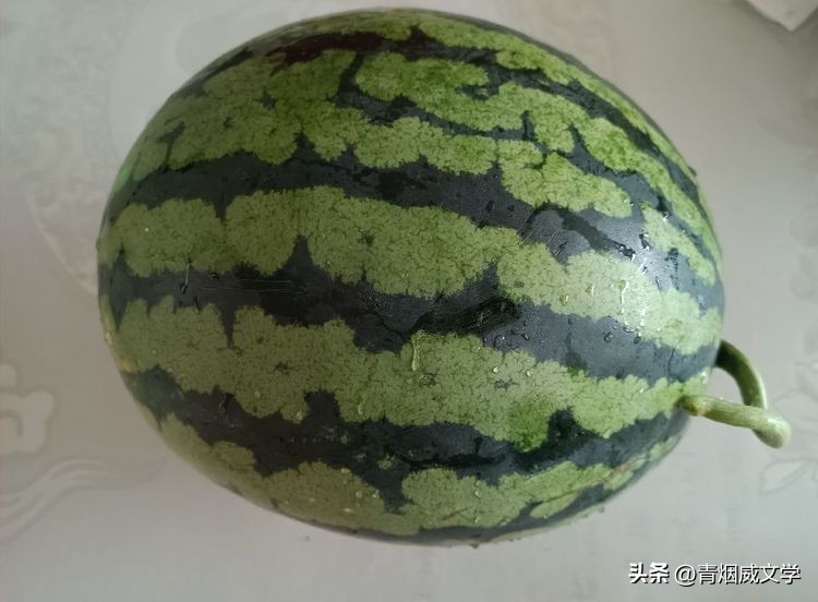 描写清风蝉鸣荷香湖边的古诗词,描写初夏荷塘的古诗词