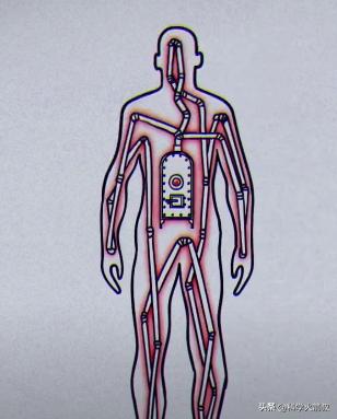 为什么我们会发烧,我们为什么会发烧