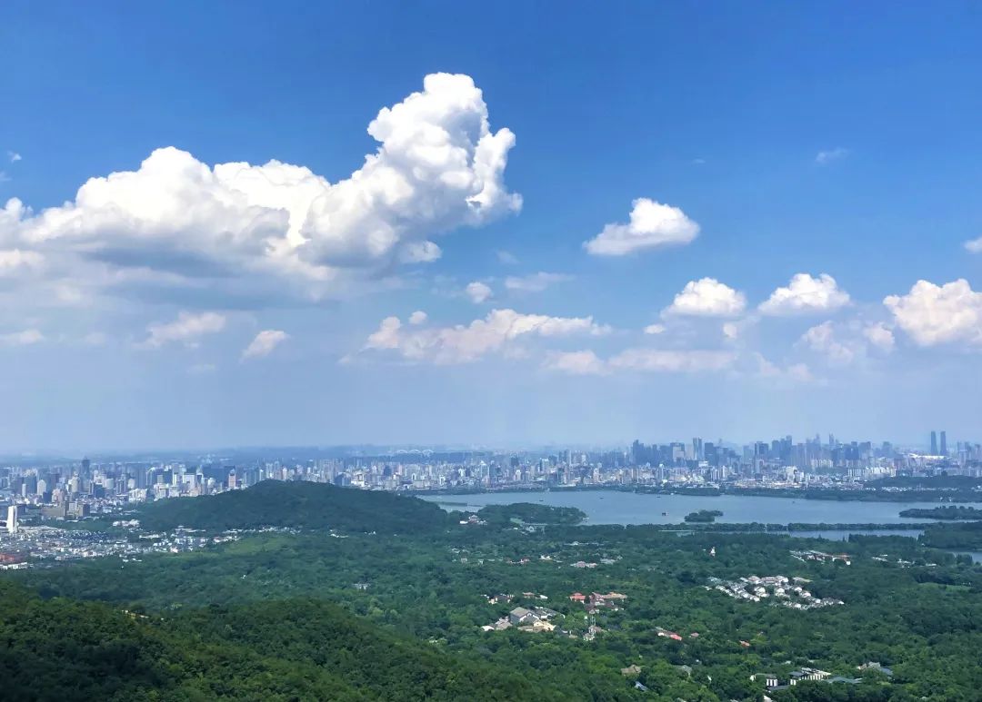 稳外贸稳外资浙江最新方案出台,浙江自贸试验区引领作用不断显现