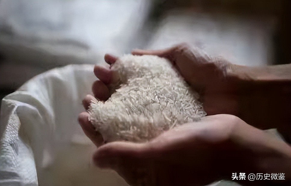 放弃百万年薪回农村种地,放弃30万年薪回农村