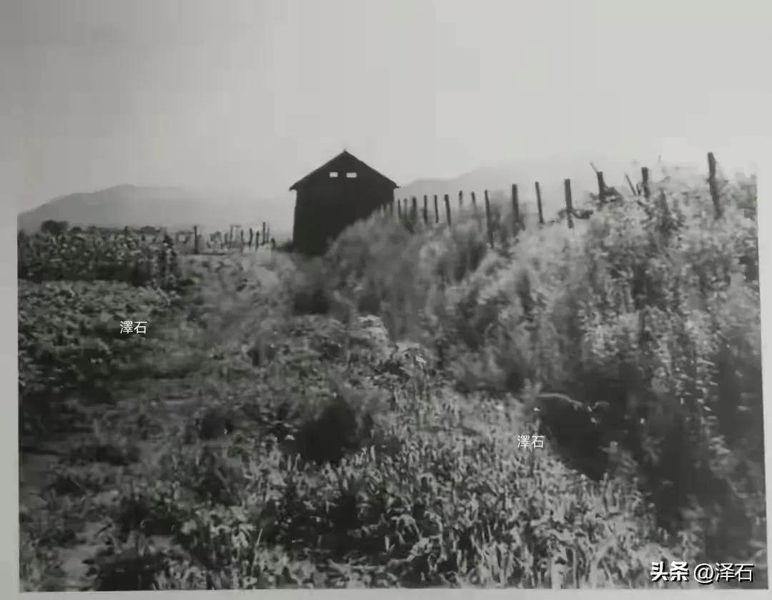 民国土匪绑票,民国被土匪绑架会怎么样