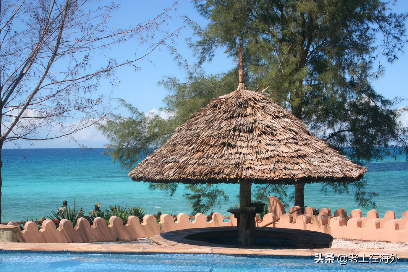 坦桑尼亚有什么特别的,坦桑尼亚是最不发达国家吗