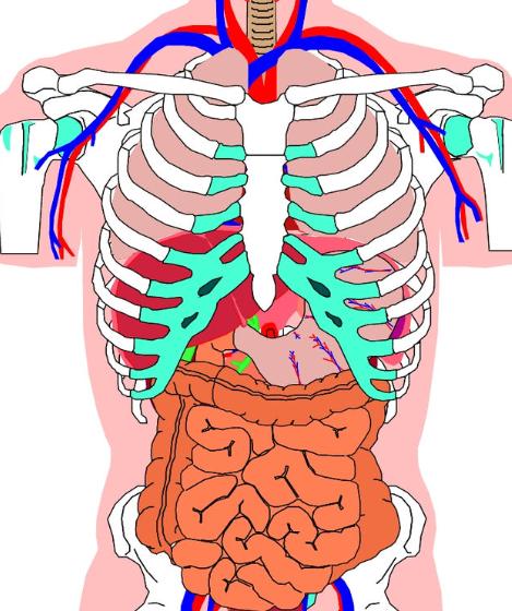 玉屏风治浑身乏力,一动满头大汗服玉屏风散没有效果