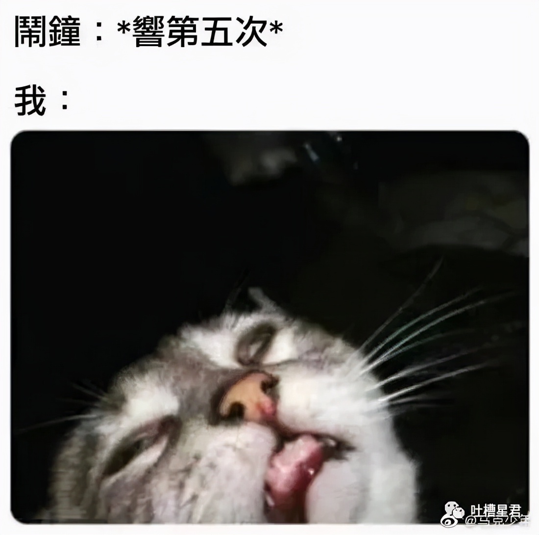 41万卡地亚后续,四十万买卡地亚被看不起