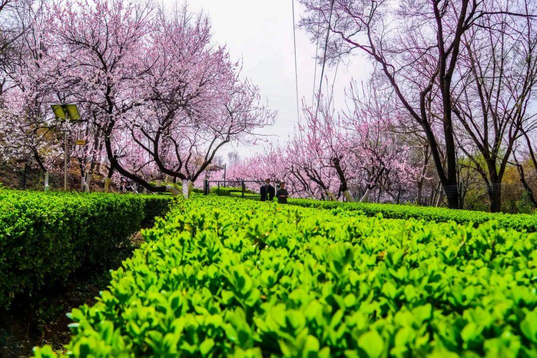 五一北京出游踏青去哪玩比较好呢,丰台夏天旅游攻略