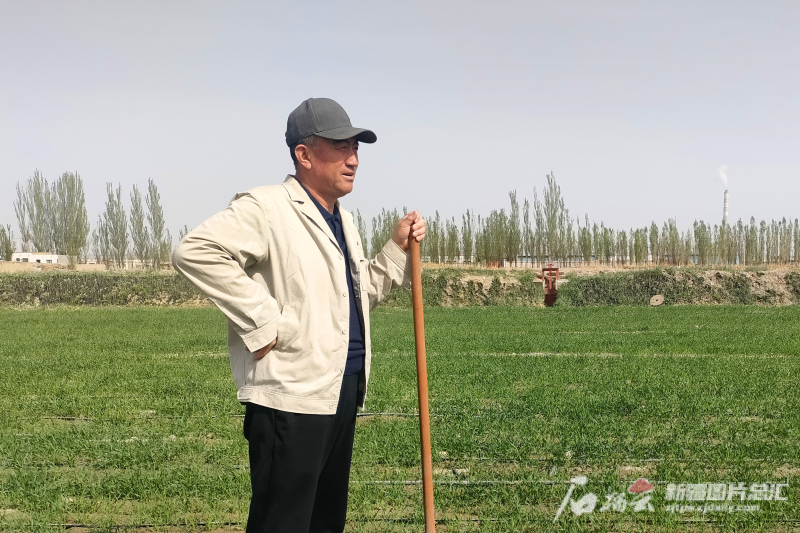 全国农民合作社案例大全,亲历农业合作社成功案例