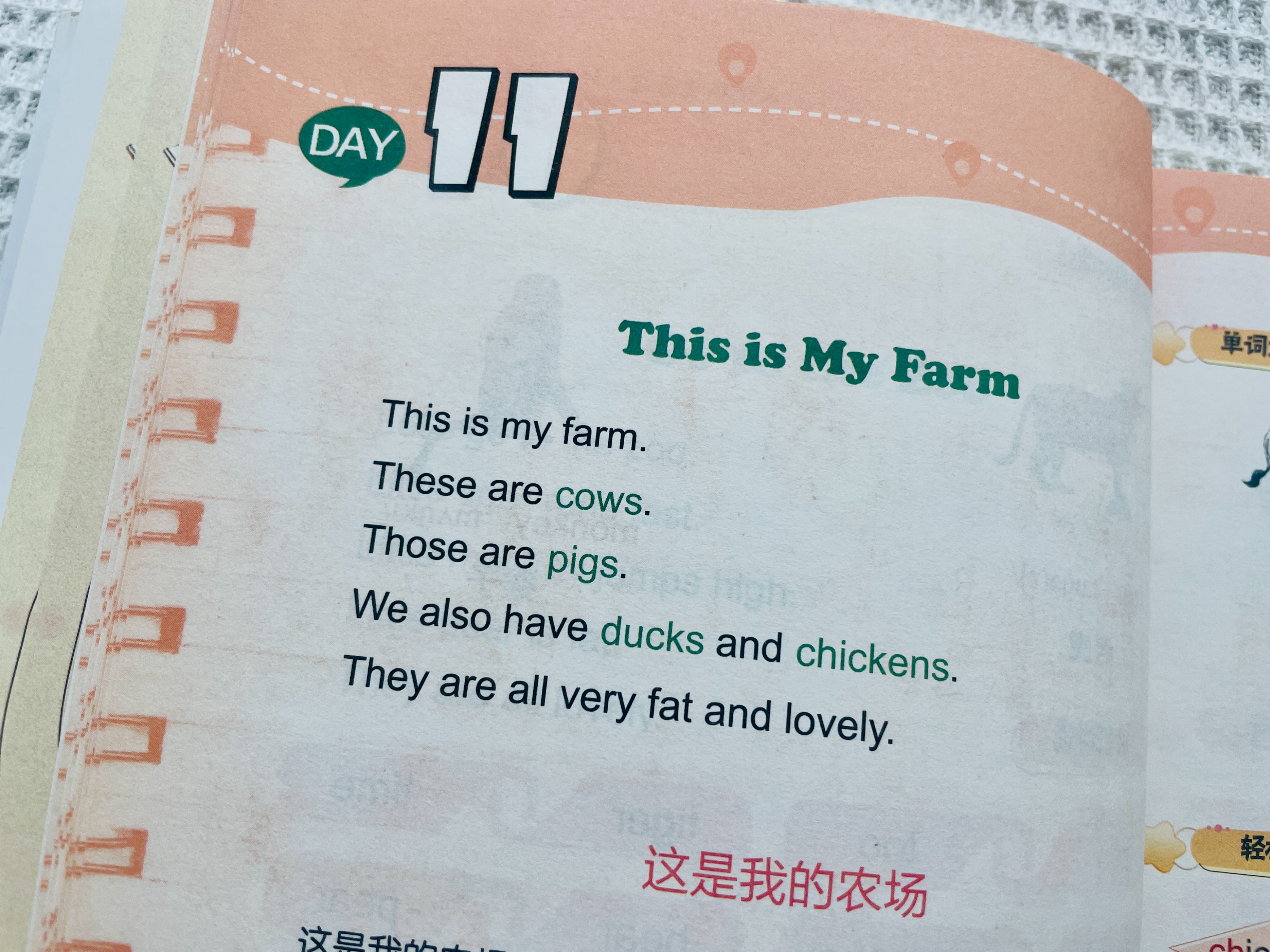 到底该怎么给孩子规划英语的学习,教你规划孩子高中英语学习