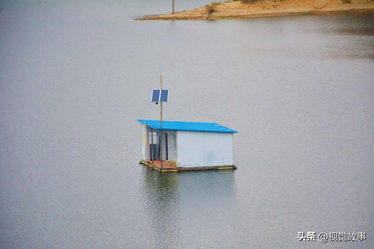 为什么近些年农村挖鱼塘养鱼的多,为什么水库养鱼比较多