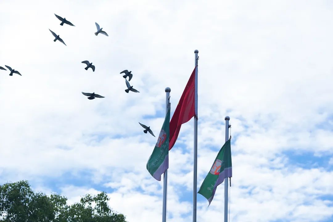 双流永安小学官网,双流区永安小学红花校区
