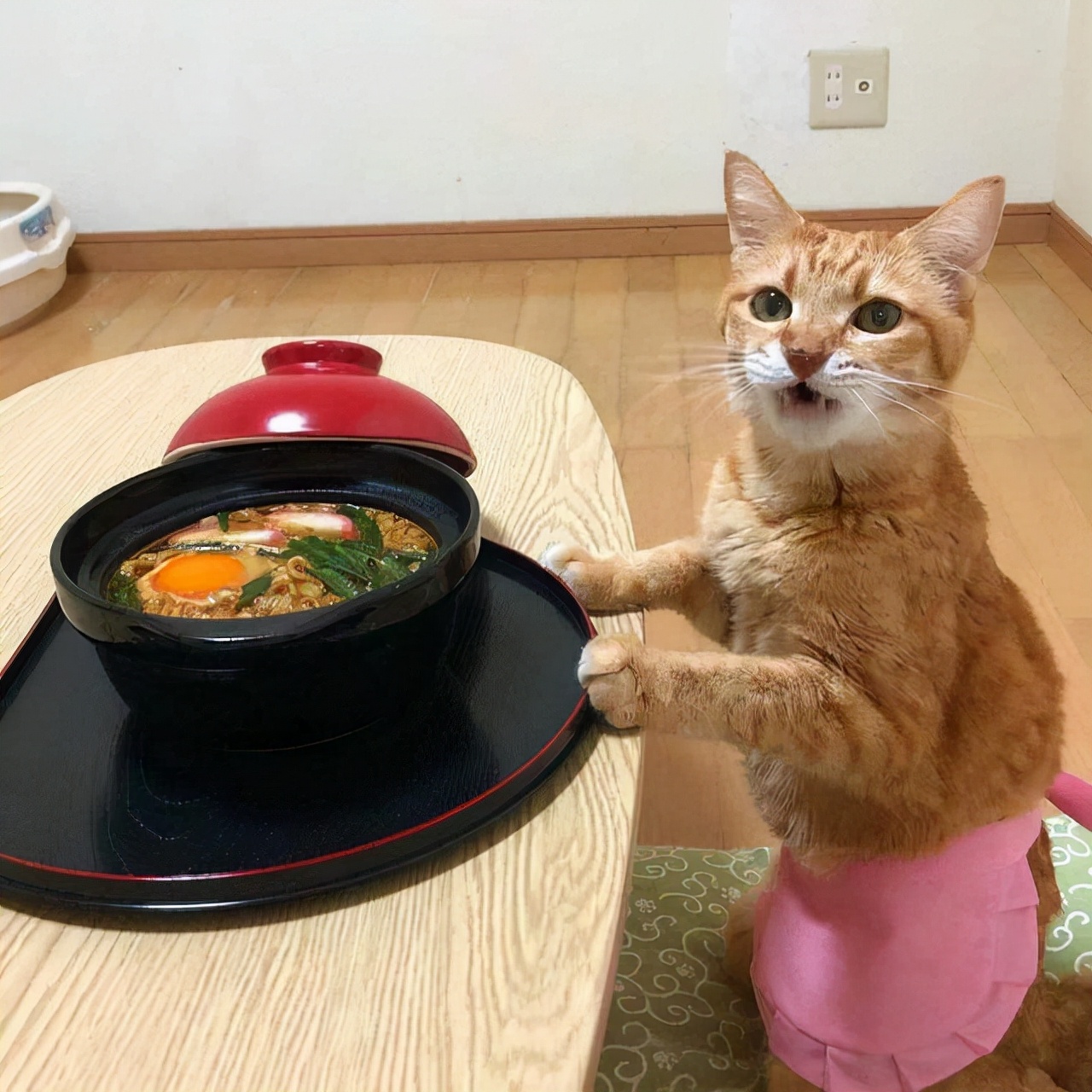 不要轻易养汪星人,不要轻易养宠物养了就要负责