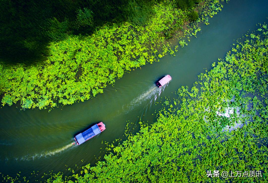 济宁微山湖旅游景区攻略一日游,济宁微山湖旅游区排名