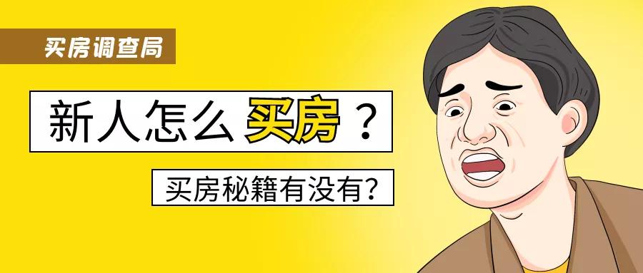 新手买房最全攻略教你怎样买房,新手买房注意事项与策略