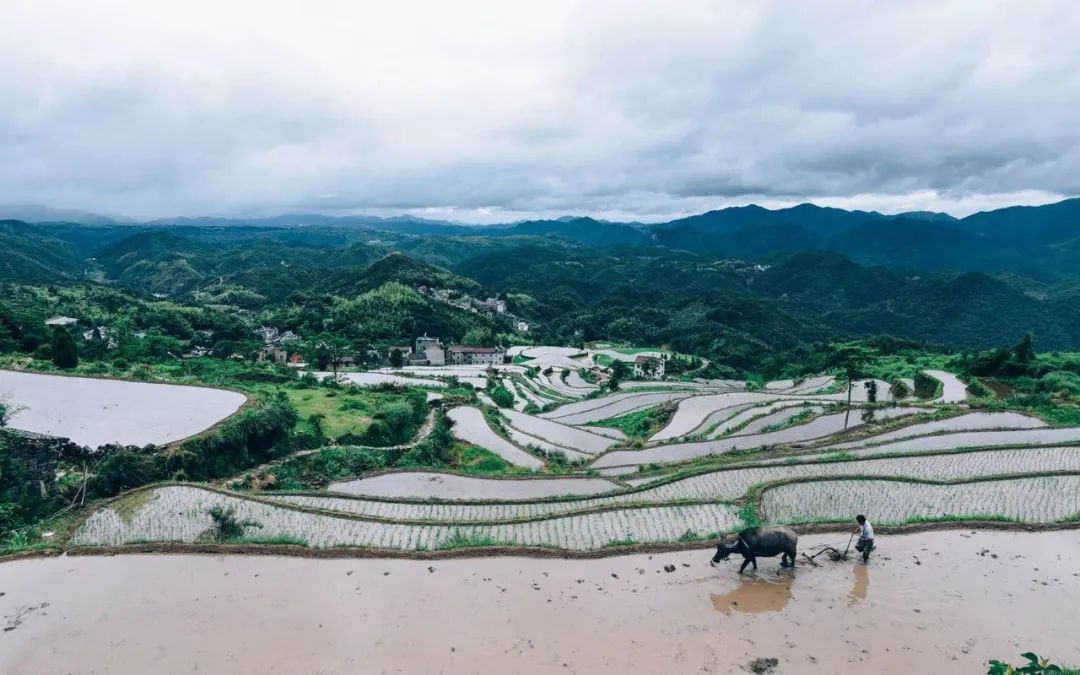 什么是天台,什么是天台记忆