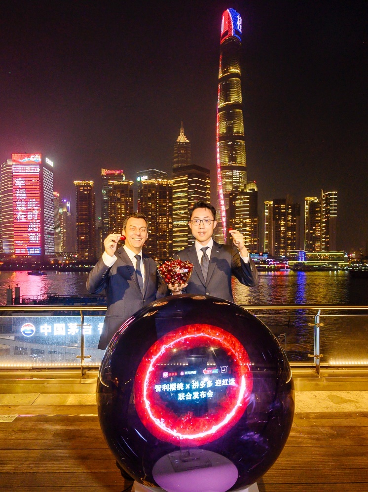 智利车厘子泰奥加,智利车厘子复合果酱