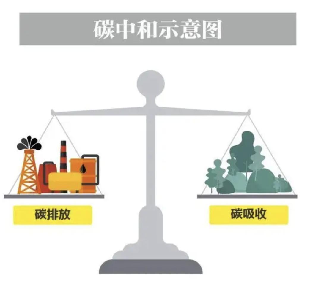 深度|如何实现人人参与“双碳”？